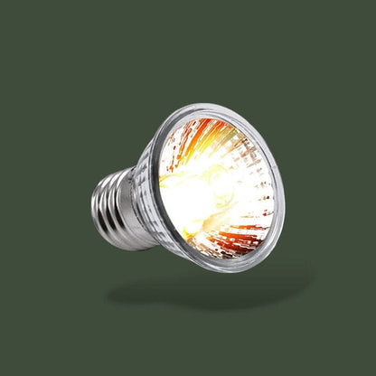 Lot de 5 lampes chauffantes 50W pour terrarium – L’Atelier Terrator