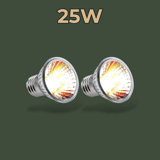 Lot de 2 lampes chauffantes 25W – L’Atelier Terrator