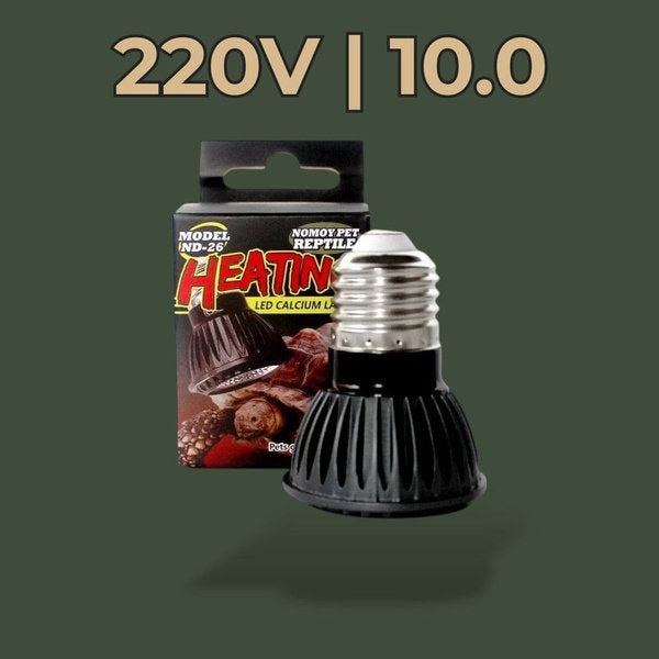 Lampe chauffante LED 220V 10.0 pour terrarium – L’Atelier Terrator