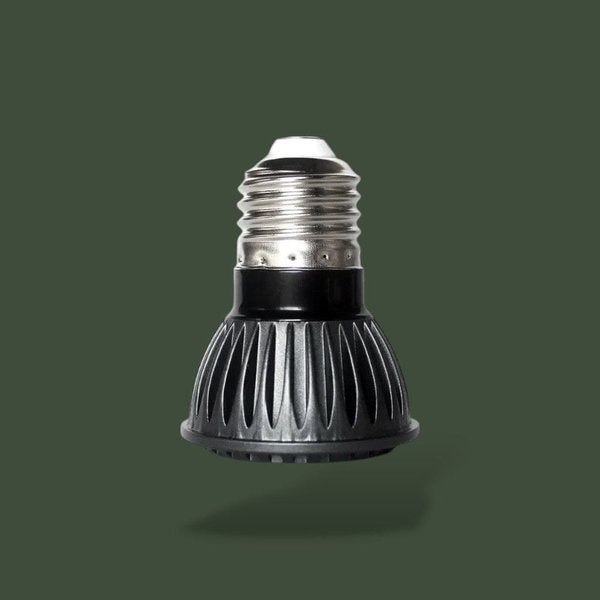 Lampe chauffante LED 220V 10.0 pour terrarium – L’Atelier Terrator