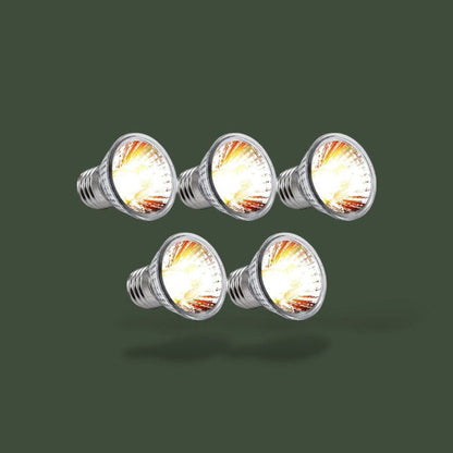 Lot de 5 lampes chauffantes 25W – L’Atelier Terrator