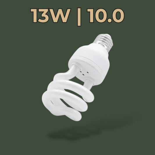 Ampoule UVB 13W 10.0 pour terrarium – L’Atelier Terrator