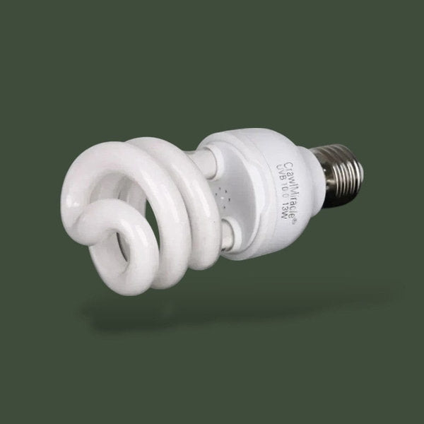 Ampoule UVB 13W 10.0 pour terrarium – L’Atelier Terrator