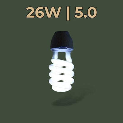 Ampoule UVB 26W 5.0 pour terrarium – L’Atelier Terrator