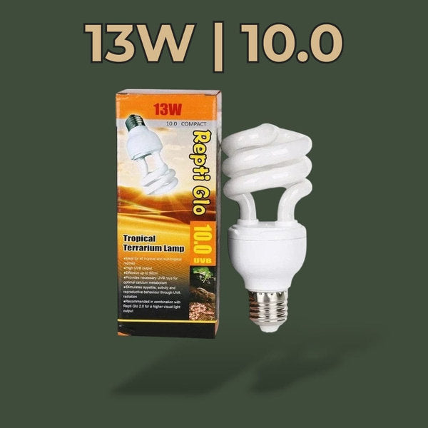 Ampoule UVB 13W 5.0 pour terrarium – L’Atelier Terrator