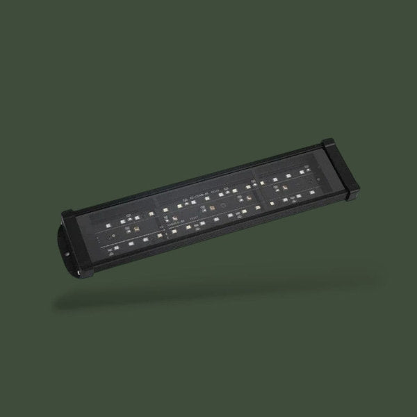 Lampe chauffante plate 13W pour terrarium – L’Atelier Terrator