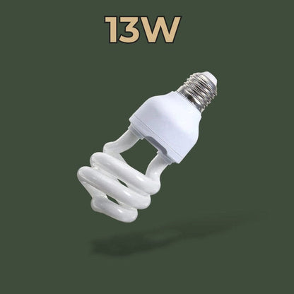 Ampoule UVB 13W 10.0 – L’Atelier Terrator