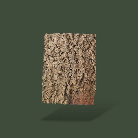 Grand morceau de bois flotté pour aquarium – L’Atelier Terrator