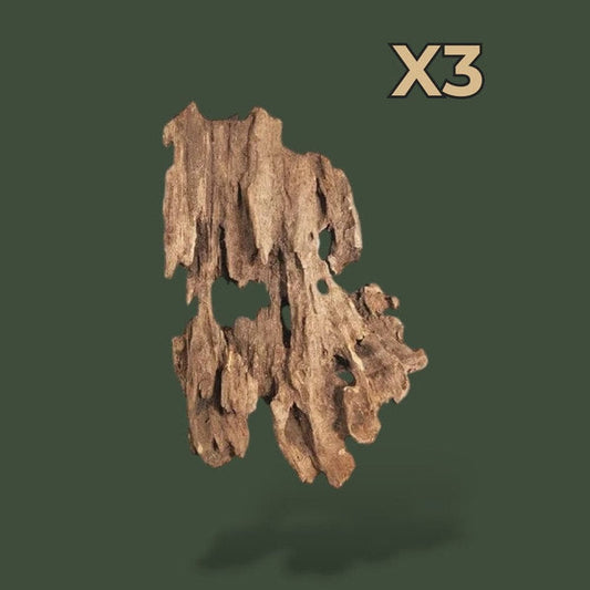 Lot de 3 grand morceaux de bois flotté pour aquariums – L’Atelier Terrator