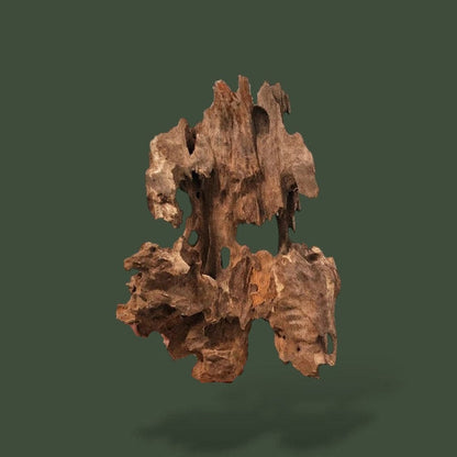 Lot de 3 grand morceaux de bois flotté pour aquariums – L’Atelier Terrator