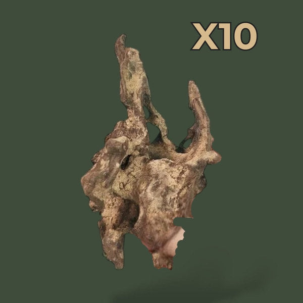 Lot de 10 petits morceaux de bois flotté pour aquarium – L’Atelier Terrator