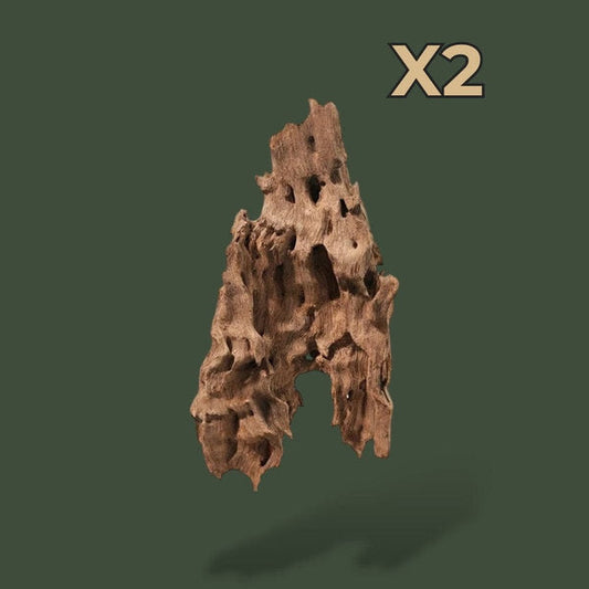 Lot de 2 morceaux de bois flotté pour aquariums – L’Atelier Terrator