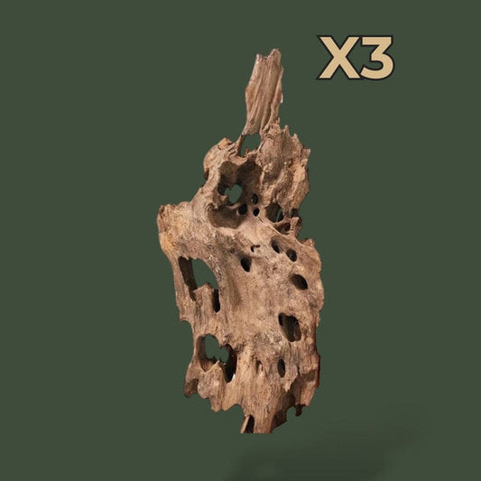 Lot de 3 grand bout de bois flotté – L’Atelier Terrator