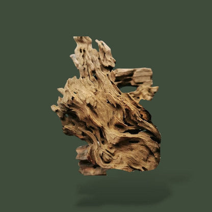 Lot de 3 grand bout de bois flotté – L’Atelier Terrator