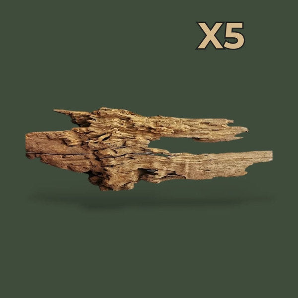 Mix de 5 morceaux de bois flotté naturel – L’Atelier Terrator