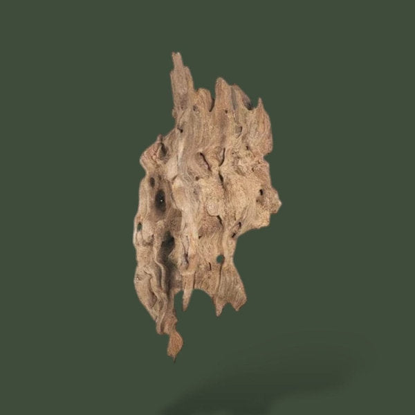 Mix de 5 morceaux de bois flotté naturel – L’Atelier Terrator