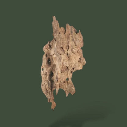 Mix de 5 morceaux de bois flotté naturel – L’Atelier Terrator