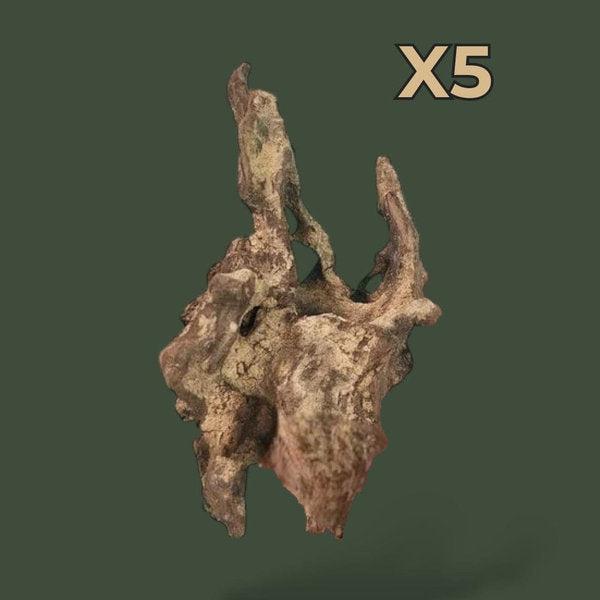 Lot de 5 petits morceaux de bois flotté naturel – L’Atelier Terrator