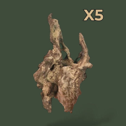 Lot de 5 petits morceaux de bois flotté naturel – L’Atelier Terrator