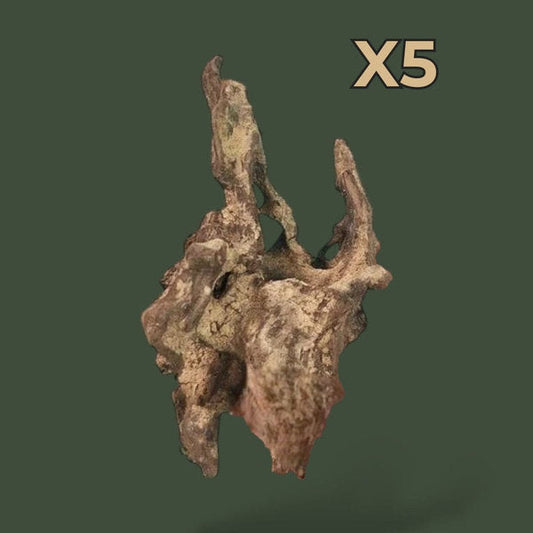 Lot de 5 petits morceaux de bois flotté naturel – L’Atelier Terrator