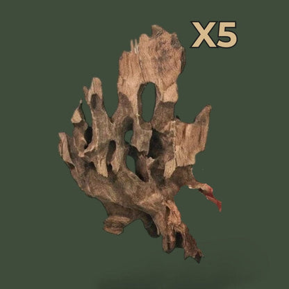 Lot de 5 morceaux de bois flotté naturel – L’Atelier Terrator