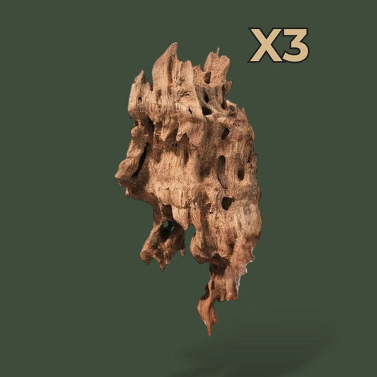 Lot de 3 grand morceaux de bois flotté naturel – L’Atelier Terrator