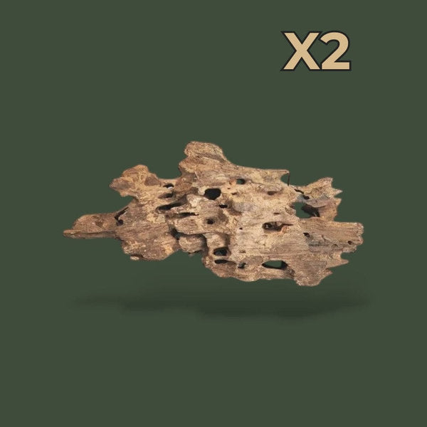 Lot de 2 petits morceaux de bois flotté naturel – L’Atelier Terrator