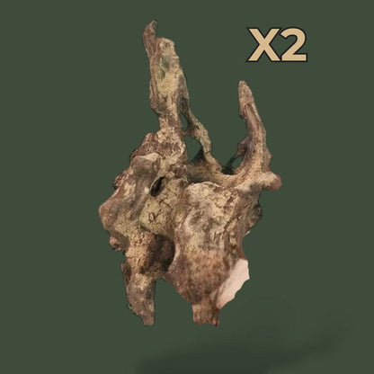 Lot de 2 petit bout de bois flotté pour terrarium – L’Atelier Terrator