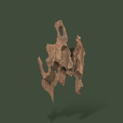 Lot de 2 petit bout de bois flotté pour terrarium – L’Atelier Terrator