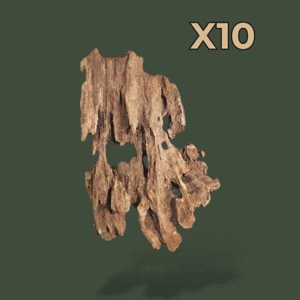 Lot 10 petit morceaux de bois flotté – L’Atelier Terrator