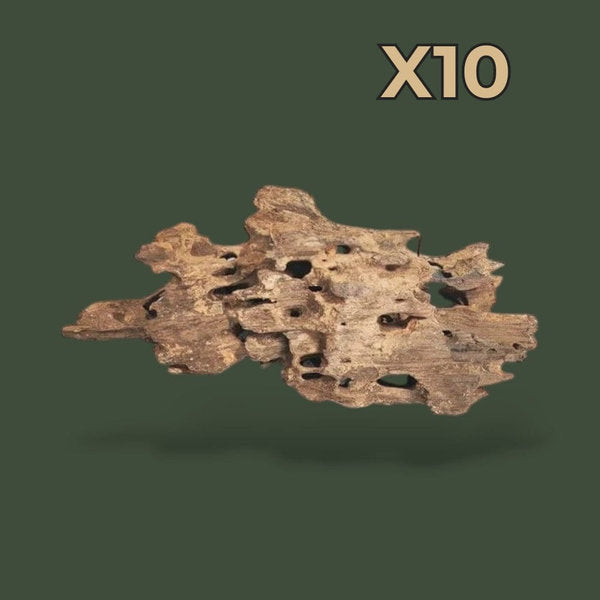 Lot de 10 petit bout de bois flotté – L’Atelier Terrator