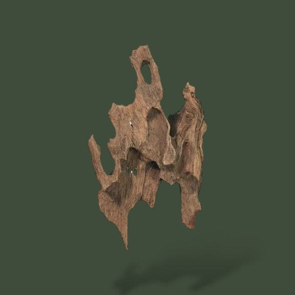 Lot de 10 petit bout de bois flotté – L’Atelier Terrator