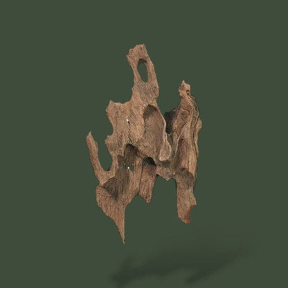 Lot de 10 petit bout de bois flotté – L’Atelier Terrator