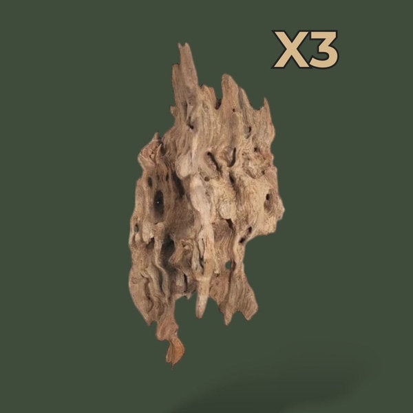 Mix de 3 morceaux de bois flotté variées – L’Atelier Terrator