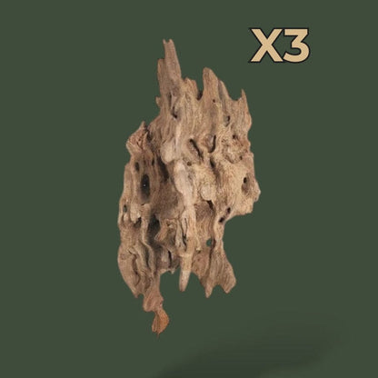 Mix de 3 morceaux de bois flotté variées – L’Atelier Terrator