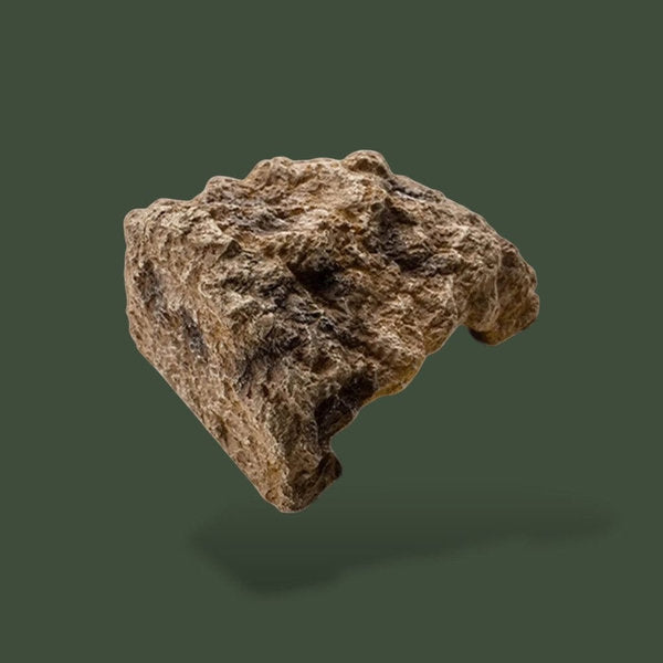 Déco de tronc naturel pour terrarium – L’Atelier Terrator