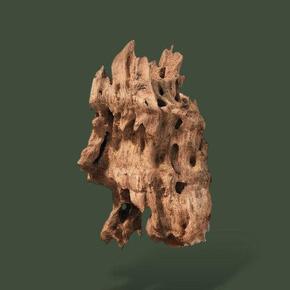 Lot de 5 morceaux de bois flotté pour terrarium – L’Atelier Terrator