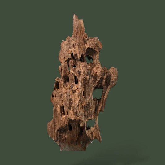 Grand morceau de bois flotté naturel – L’Atelier Terrator