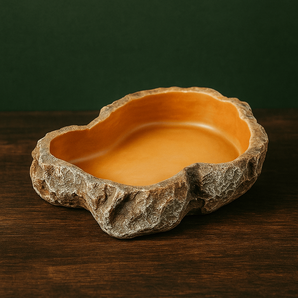 Petit mangeoire original pour terrarium – L’Atelier Terrator