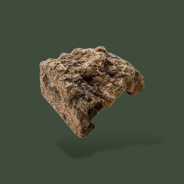 Base de tronc naturel pour terrarium – L’Atelier Terrator