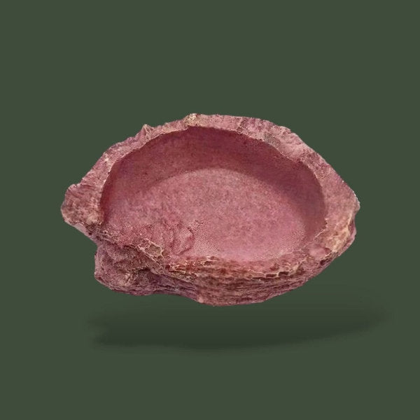 Joli petit mangeoire effet argile rouge – L’Atelier Terrator