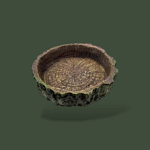 Bol pour reptile tropical – L’Atelier Terrator