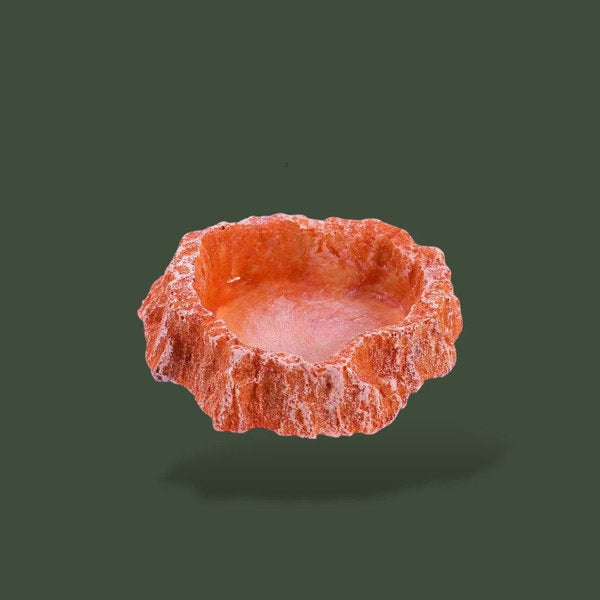 Bol a nourriture orange pour terrarium – L’Atelier Terrator