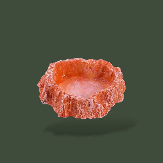 Bol a nourriture orange pour terrarium – L’Atelier Terrator