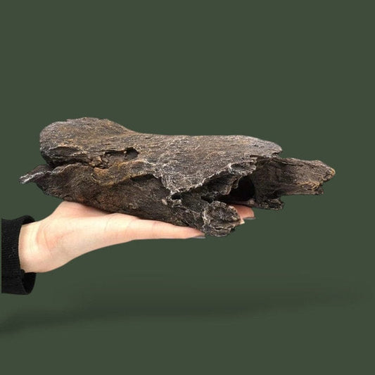 Cachette en forme de demi tronc pour reptile – L’Atelier Terrator