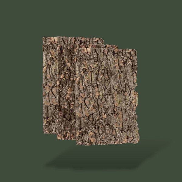 Morceaux de bois naturel pour terrarium – L’Atelier Terrator