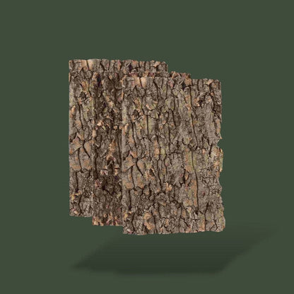 Morceaux de bois naturel pour terrarium – L’Atelier Terrator