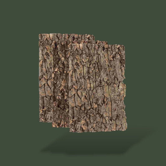 Morceaux de bois naturel pour terrarium – L’Atelier Terrator