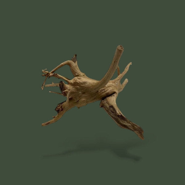 Morceau de bois naturel pour terrarium – L’Atelier Terrator