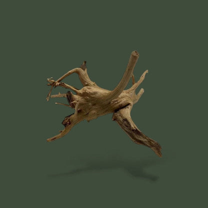 Morceau de bois naturel pour terrarium – L’Atelier Terrator